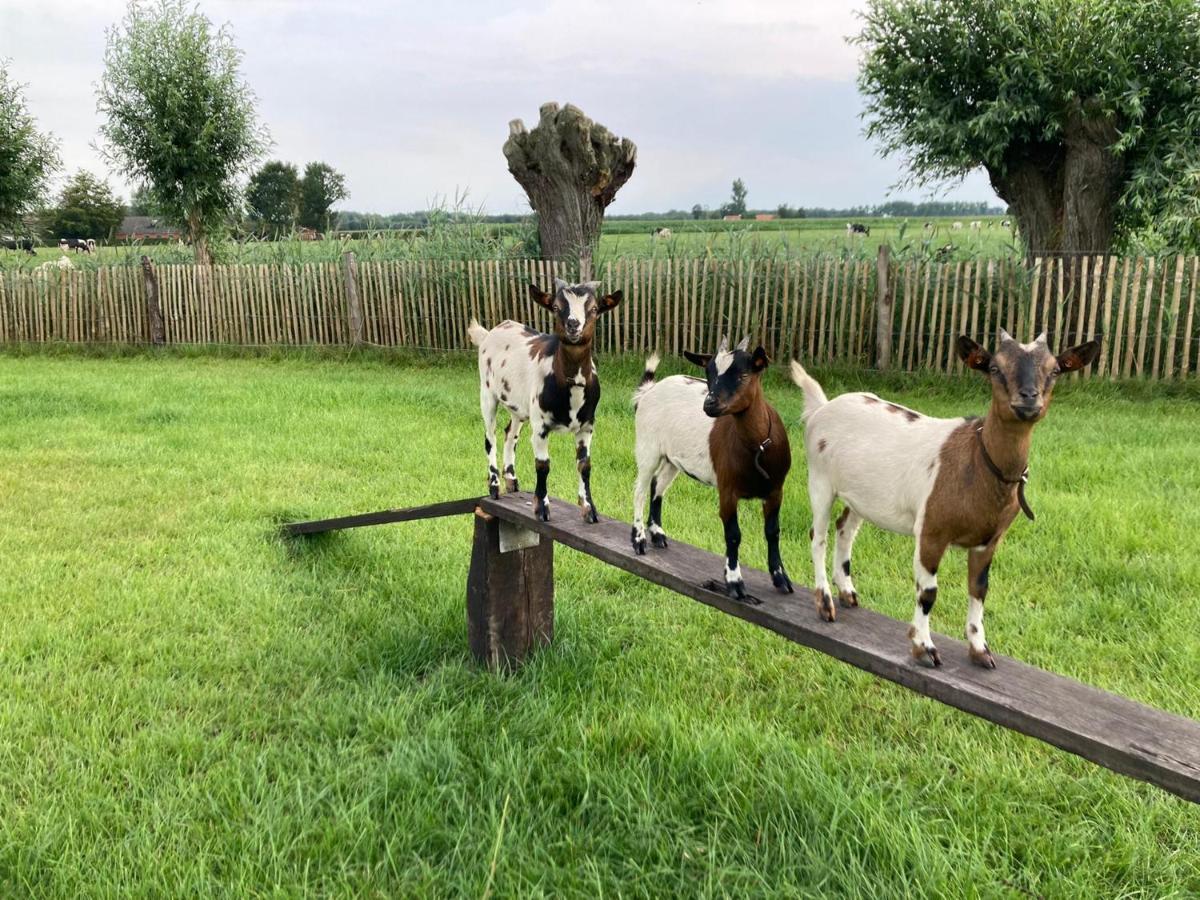 De Burkelhoeve App.B Maldegem Exterior foto
